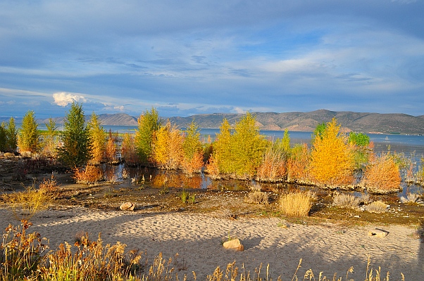 DSC_4321p.jpg