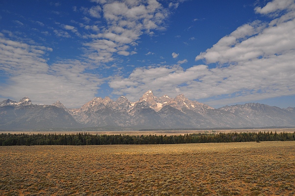 DSC_4490.jpg