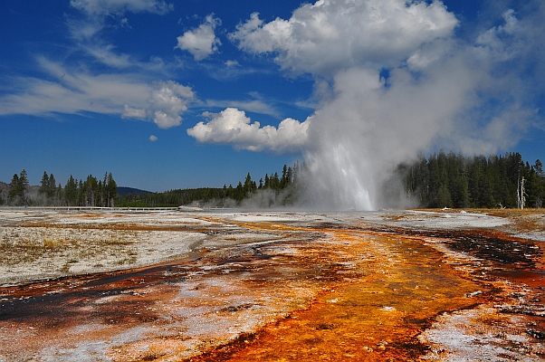DSC_5217p~0.jpg