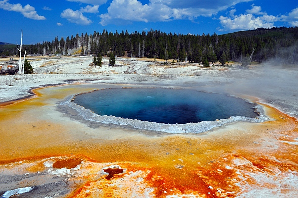 DSC_5252p~0.jpg