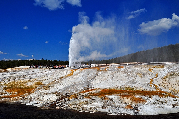 DSC_5298p.jpg