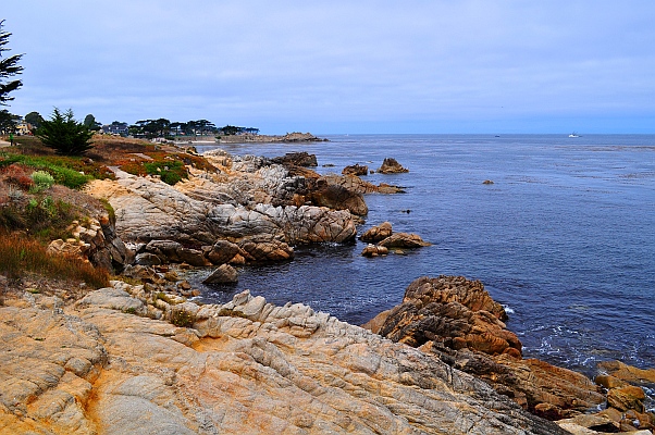 DSC_5721p.jpg