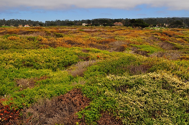 DSC_5764p.jpg