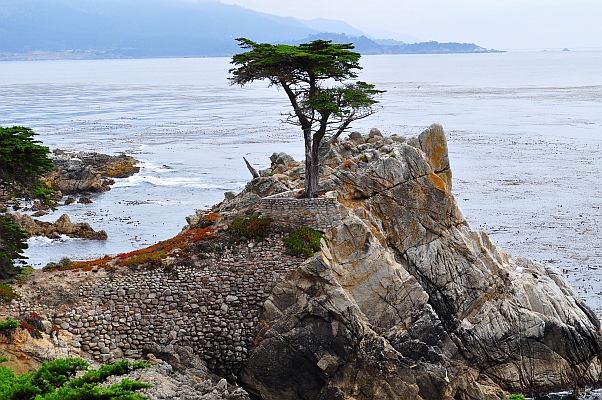 DSC_5777p.jpg