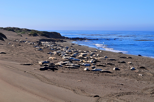 DSC_6203p.jpg