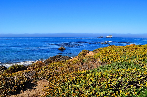 DSC_6224pjpg.jpg