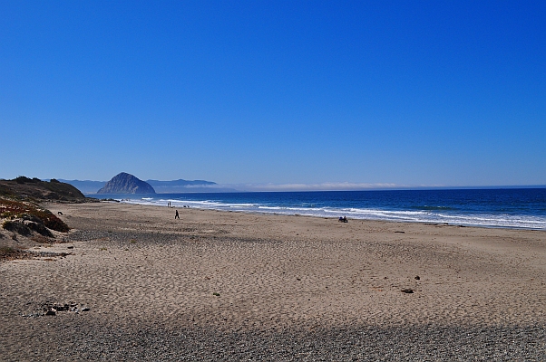 DSC_6244p.jpg