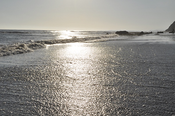 DSC_6337.jpg