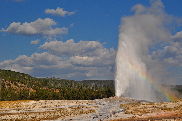 DSC_6937p.jpg