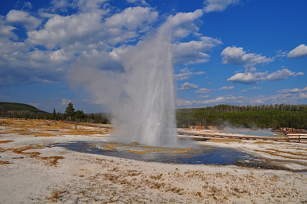 DSC_7018p.jpg