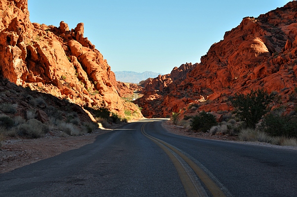 DSC_7207p.jpg