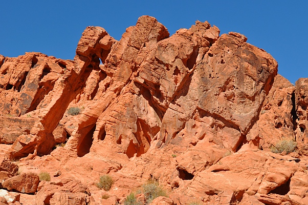 DSC_7350p.jpg