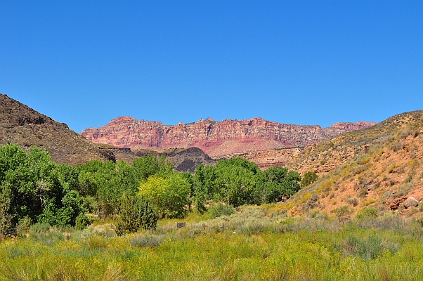 DSC_7365p.jpg