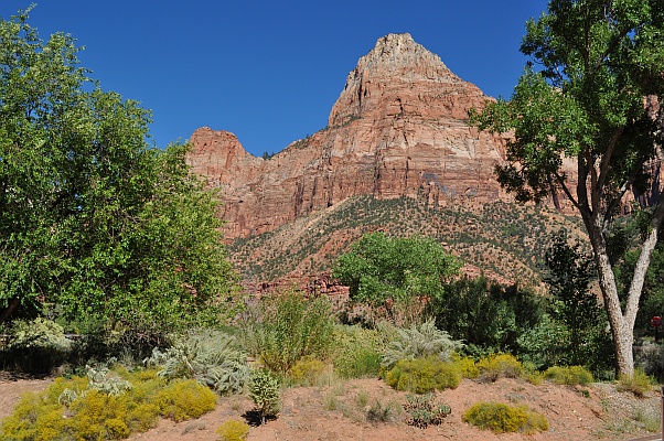 DSC_7384p.jpg