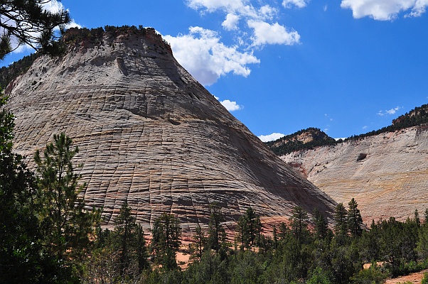 DSC_7904.jpg