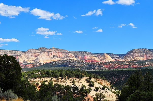 DSC_7905p.jpg