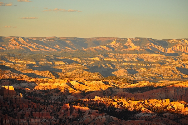DSC_8114p.jpg