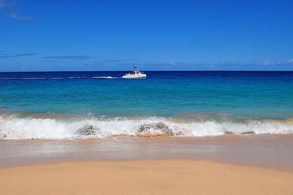 DSC_8974.jpg