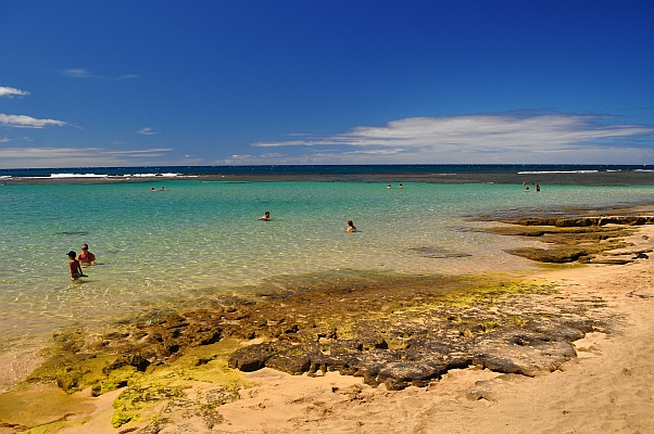 DSC_9092.jpg