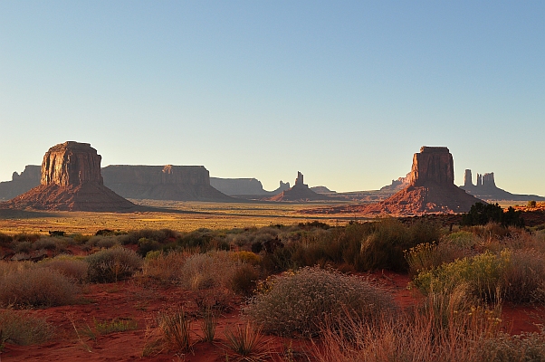 DSC_9106p.jpg