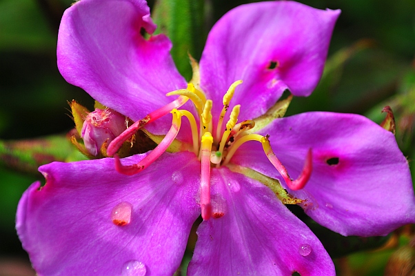 DSC_9513.jpg