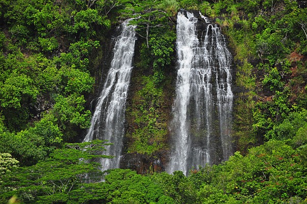 DSC_9615.jpg