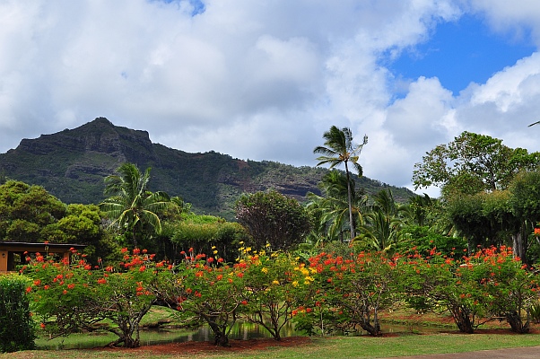 DSC_9693.jpg