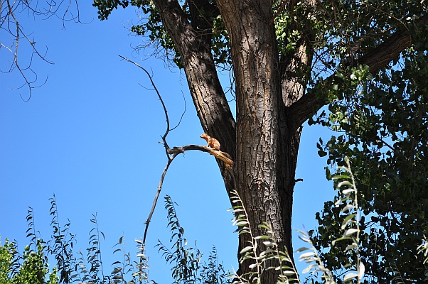 DSC_9757.jpg