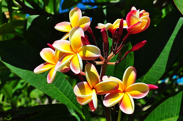 DSC_9804.jpg