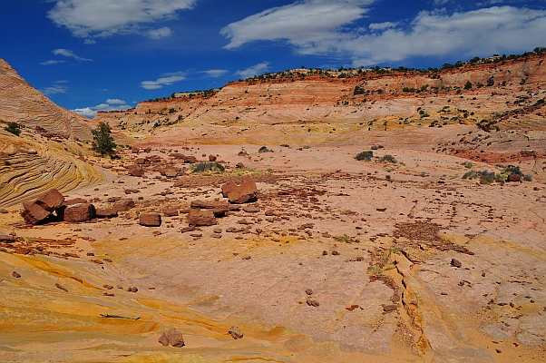 DSC_9816p.jpg