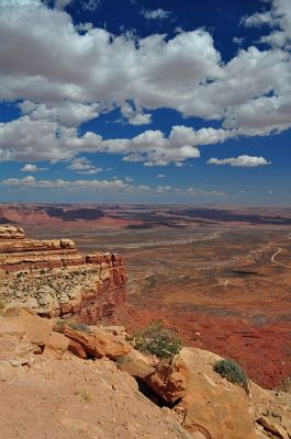 DSC_1659.jpg