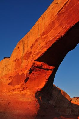 DSC_1888.jpg