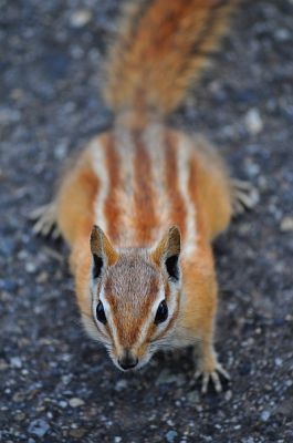 DSC_3060~0.jpg