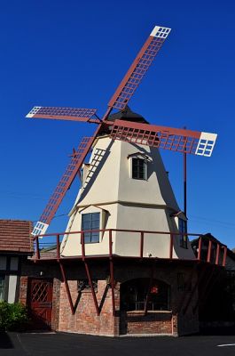 DSC_6304p.jpg
