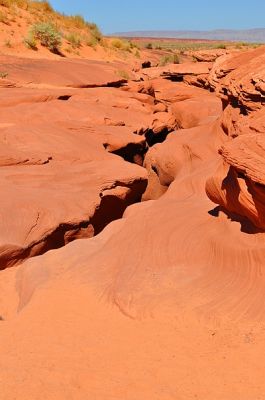 DSC_8772p.jpg