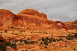 DSC_3204p.jpg