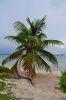 DSC_3219p.jpg