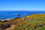 DSC_6224pjpg.jpg