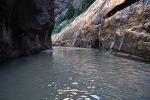 DSC_7538.jpg