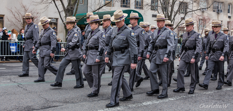 StP State Police
