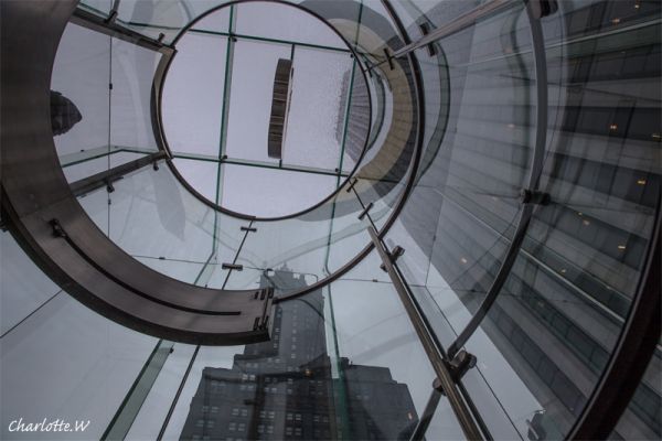 Apple Store
