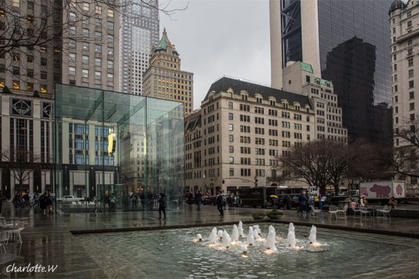 Apple Store 
