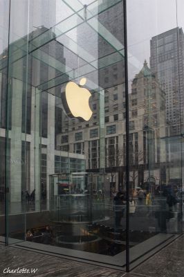 Apple Store
