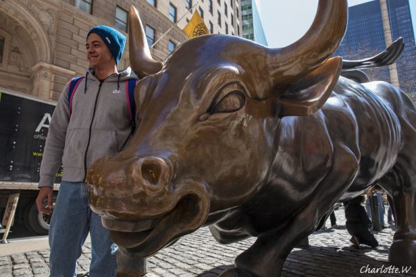 Bull
