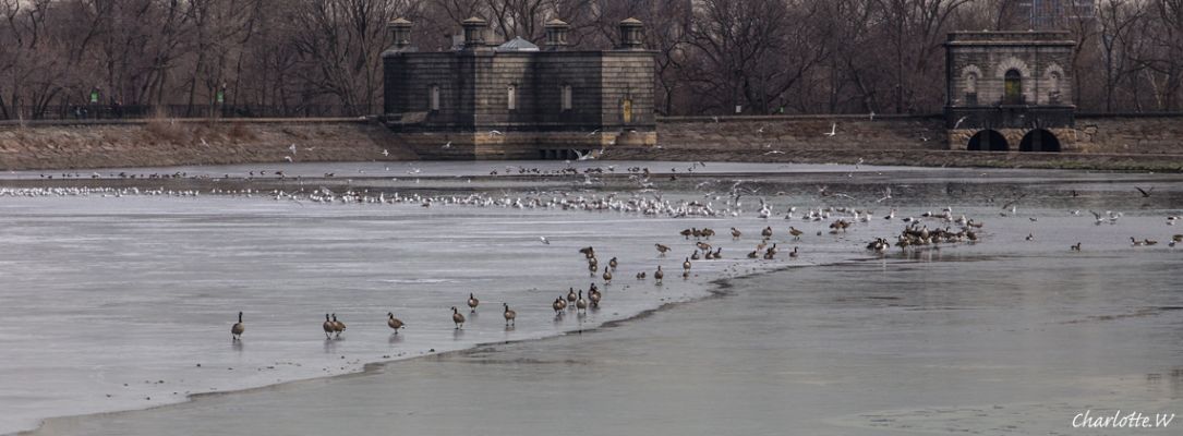 CP Reservoir
