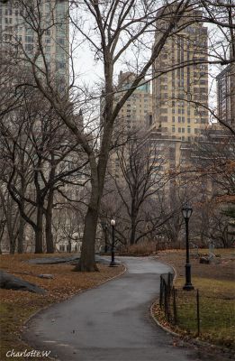 CentralParkPathBuildings
