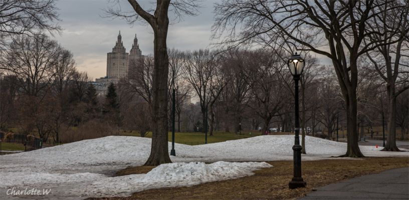 CentralParkSnowLamp
