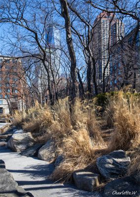 Downtown East Parks
