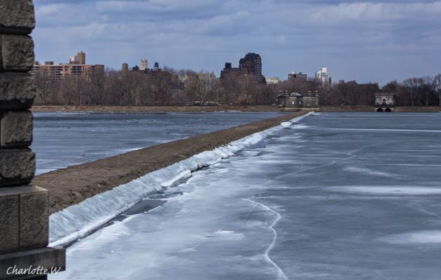 Central Park Reservoir
