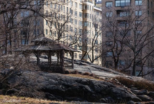 Hut Central Park
